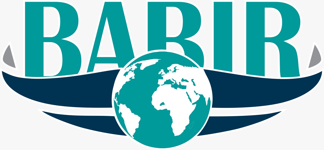BABIR International Journal for Human Sciences
