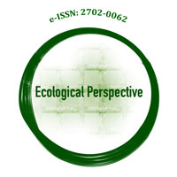 Ecological Perspective