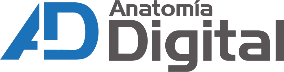 Anatomía Digital